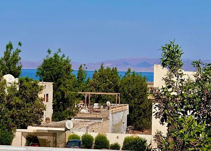 Dalida House 3*