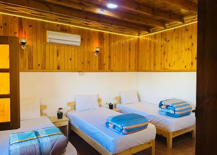 Dalida House 3*